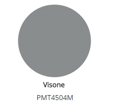 Visone