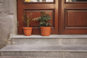 puerta de madera con plantas