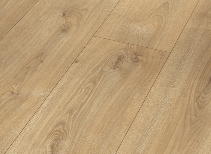 Roble Nova Calizo 1L