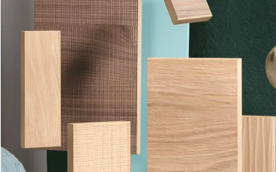Vetas de madera: Qué son, usos e importancia
