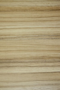 H3012 ST22 Coco Bolo