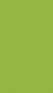 Verde Ecologico Soft III