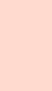 Rosa Nube Soft III