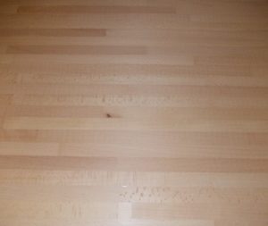 Tablero Alistonado Haya Vaporizada Liston Continuo Lama 4,2 cm