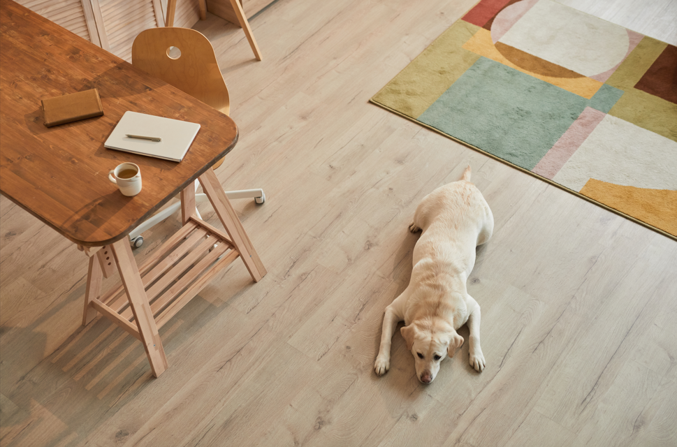 Perro descansando sobre suelos de madera para mascotas resistentes al desgaste y fáciles de limpiar